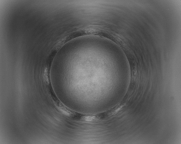 X0000075830575200609151241