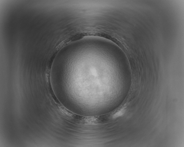 X0000075830576200609151241