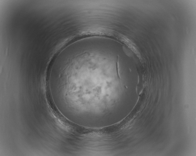 X0000075830578200609151241