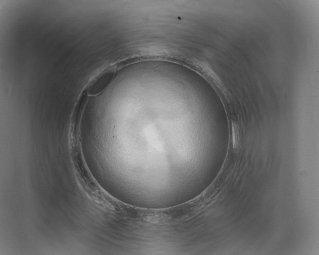 X0000075830579200609151241