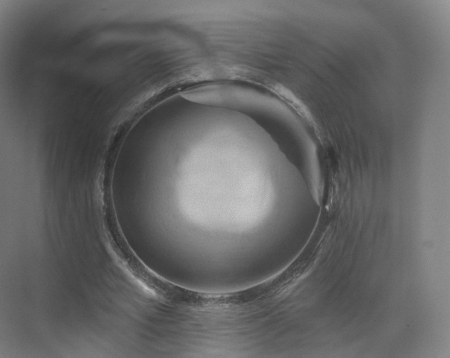 X0000075830581200609151241