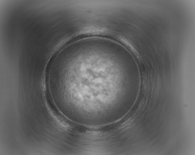 X0000075830582200609151241