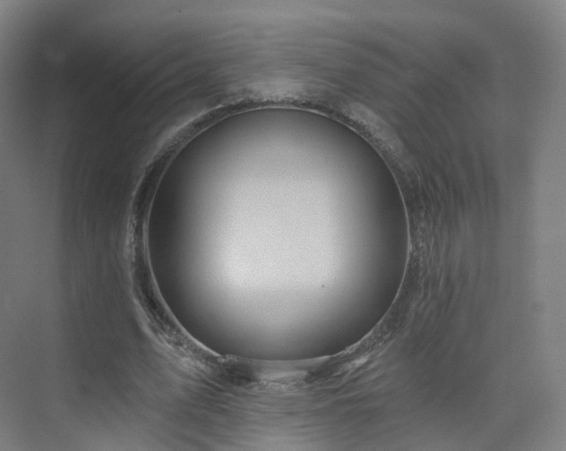 X0000075830583200609151241