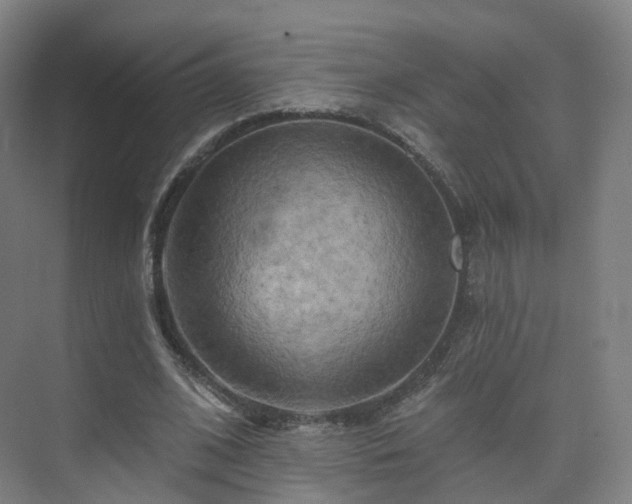 X0000075830584200609151241