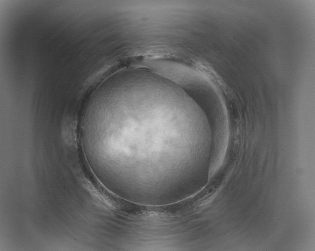 X0000075830585200609151241