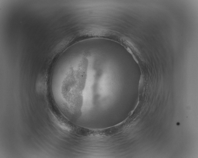 X0000075830586200609151241