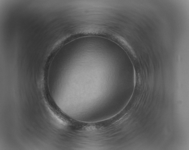 X0000075830588200609151240