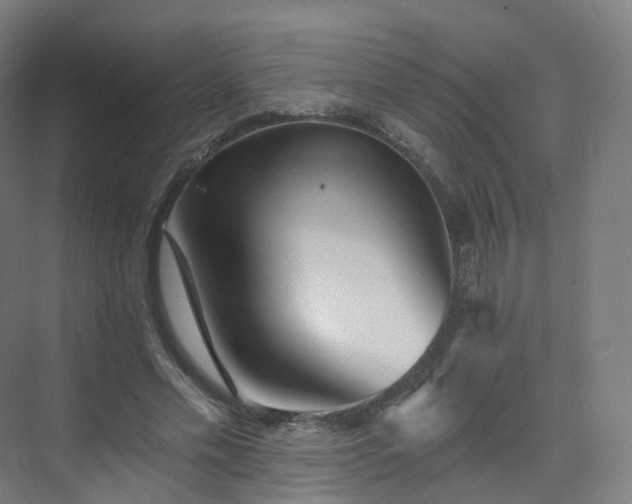 X0000075830589200609151240