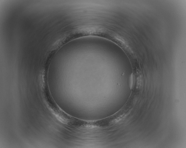 X0000075830590200609151240