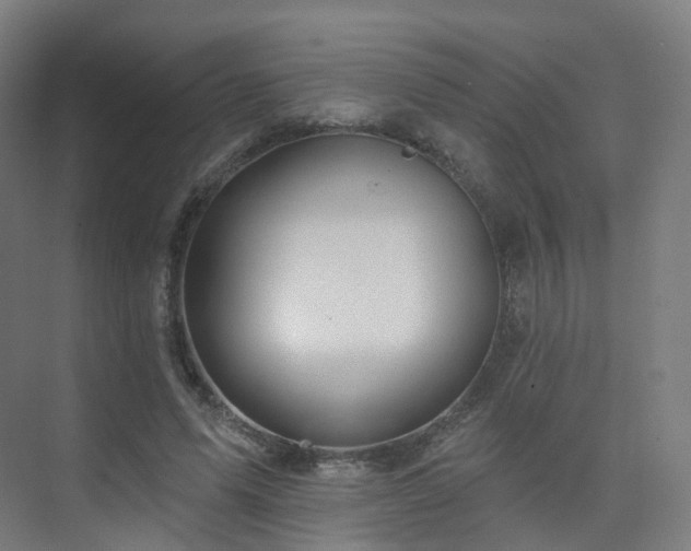 X0000075830591200609151240