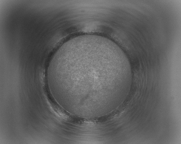 X0000075830592200609151240