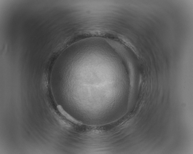 X0000075830593200609151240