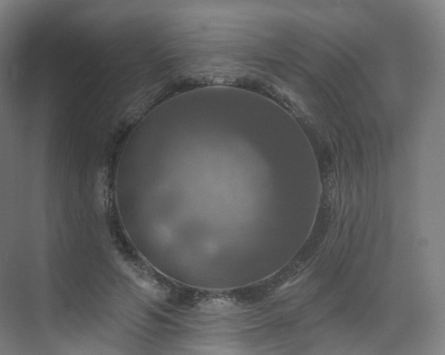 X0000075830594200609151240