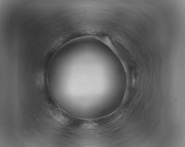 X0000075830595200609151240