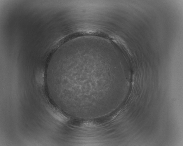 X0000075830596200609151240