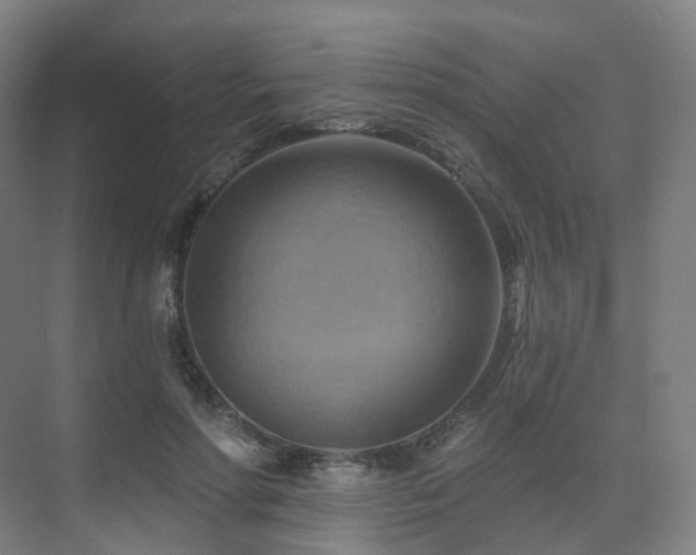 X0000075830598200609151240