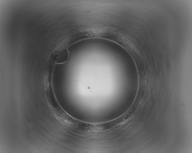 X0000075830599200609151240