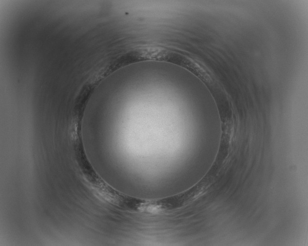 X0000075830602200609151240