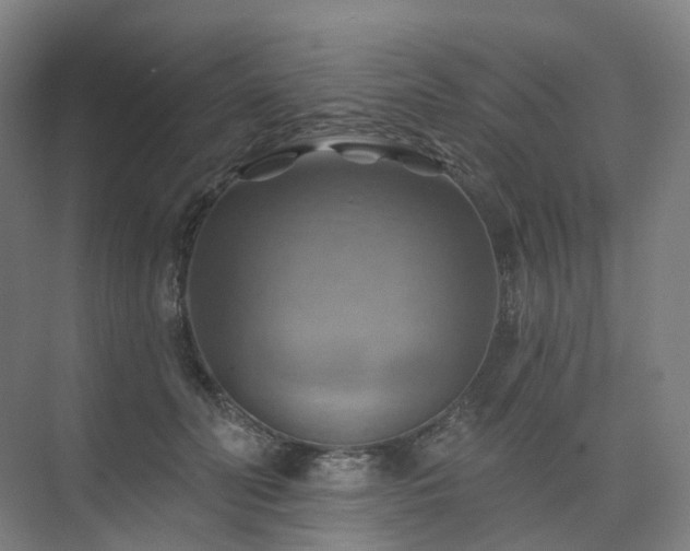 X0000075830606200609151240