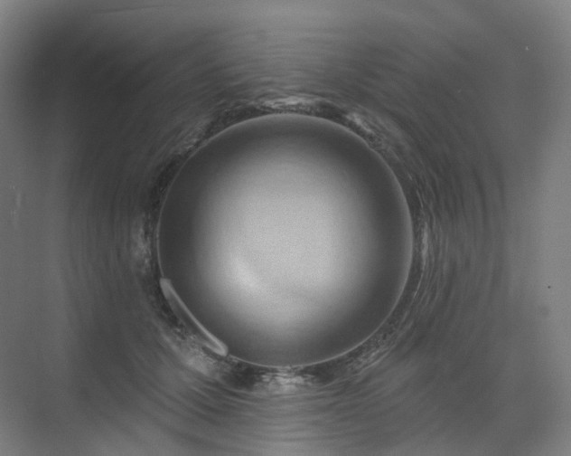 X0000075830607200609151240