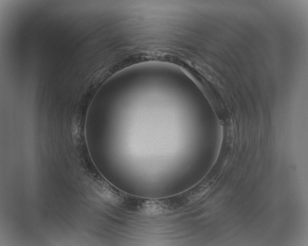 X0000075830608200609151240