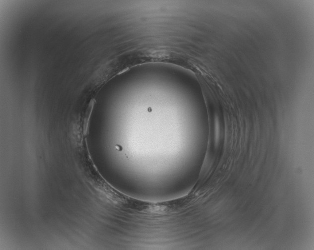 X0000075830609200609151240