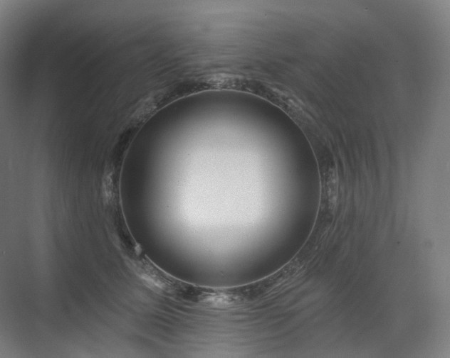 X0000075830611200609151240