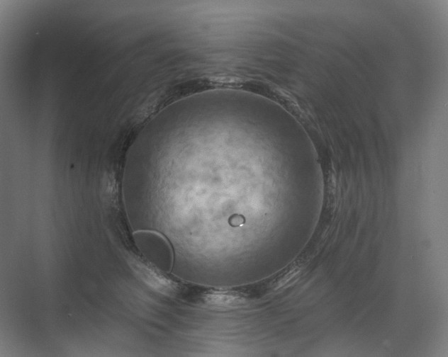 X0000075830614200609151240