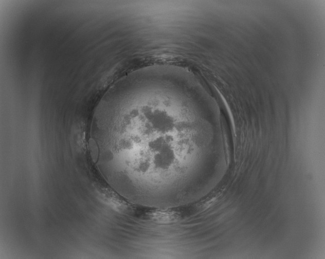 X0000075830615200609151240