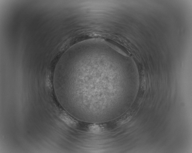 X0000075830616200609151240