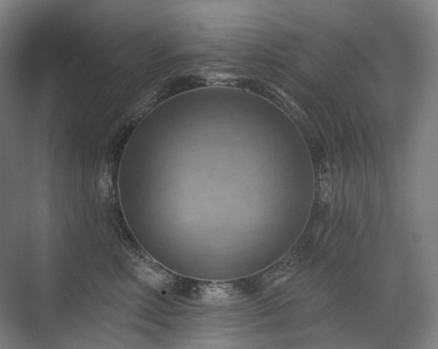 X0000075830618200609151240