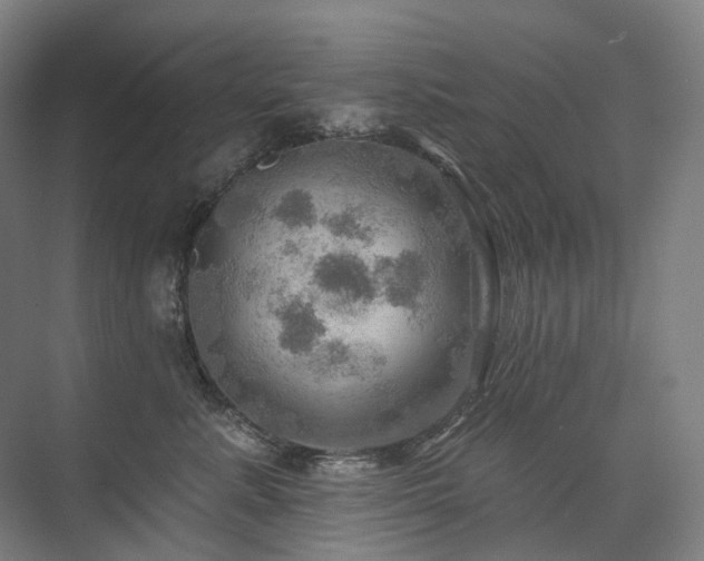 X0000075830619200609151240