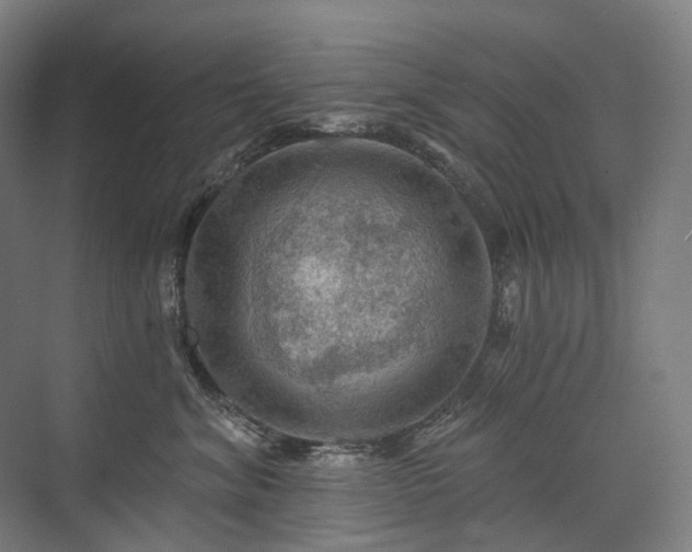 X0000075830620200609151240