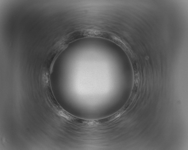 X0000075830621200609151240