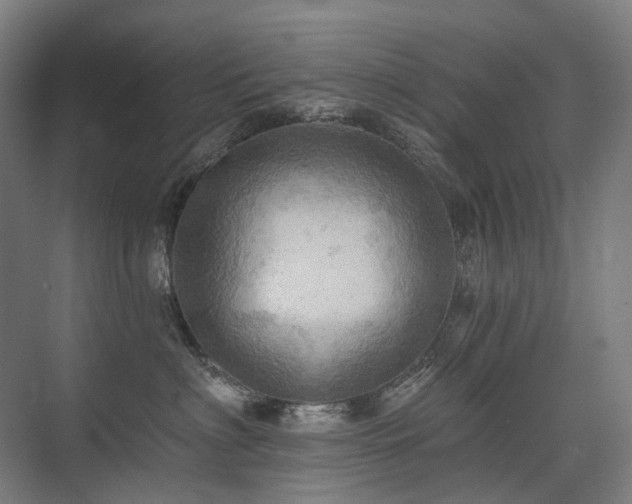 X0000075830622200609151240