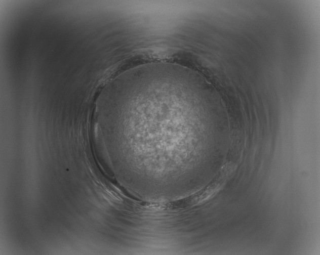 X0000075830624200609151240