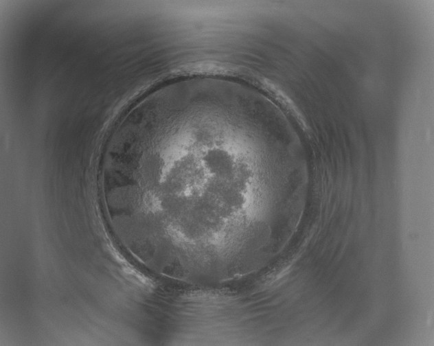 X0000075830625200609151239