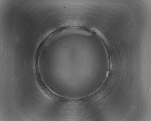 X0000075830627200609151239