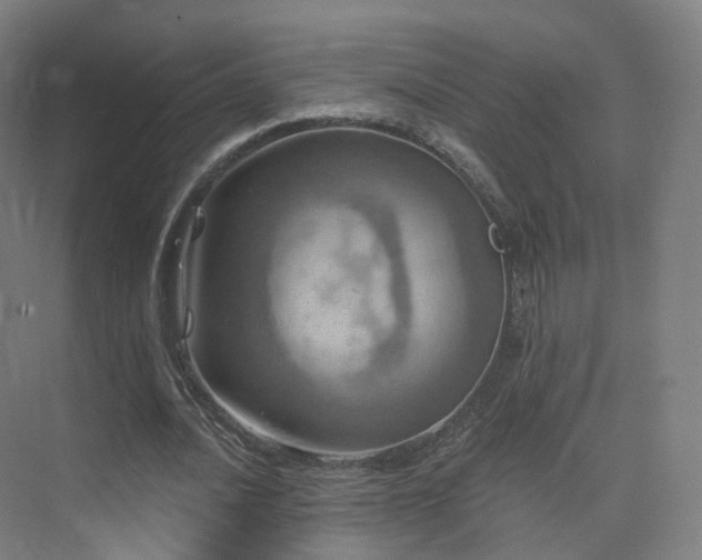 X0000075830628200609151239