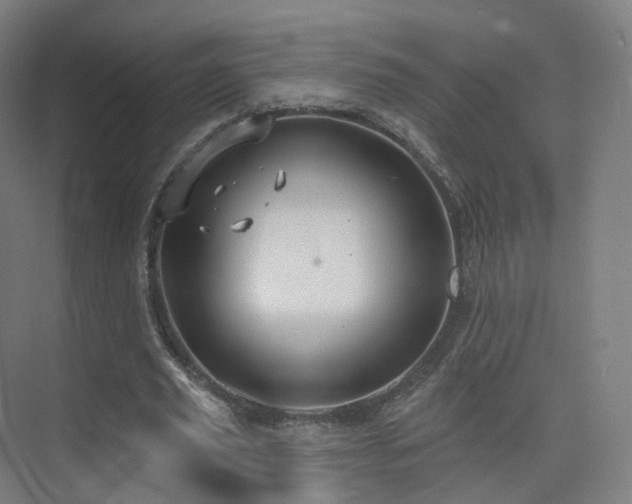 X0000075830629200609151239