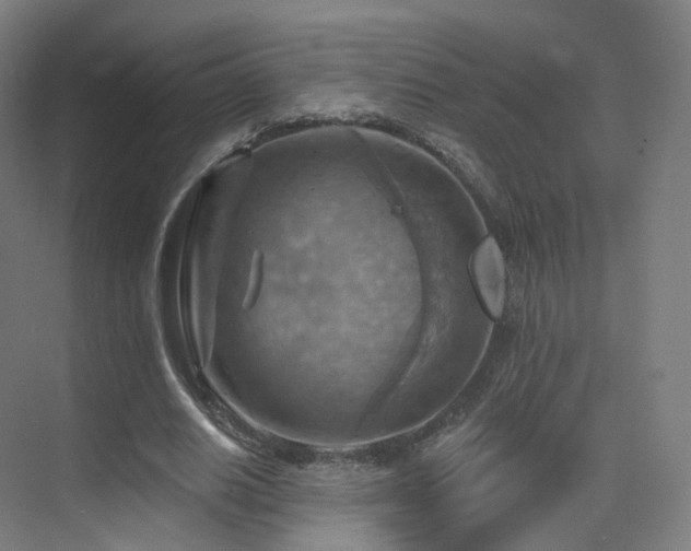 X0000075830630200609151239