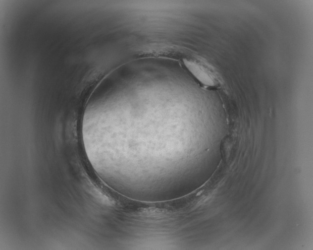 X0000075830633200609151239