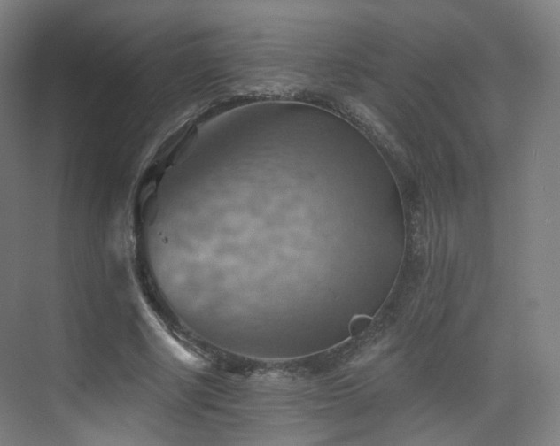 X0000075830634200609151239