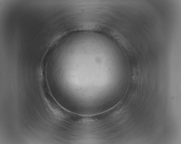 X0000075830636200609151239