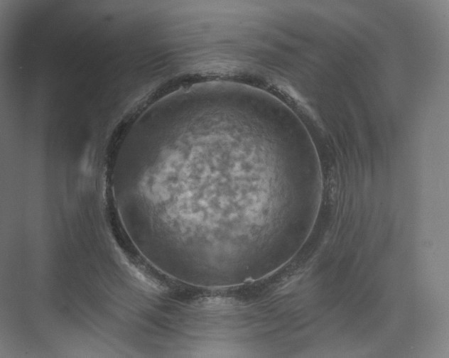 X0000075830637200609151239