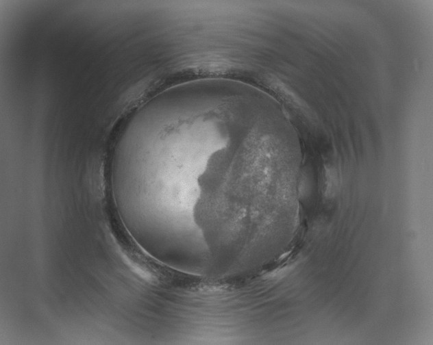 X0000075830638200609151239