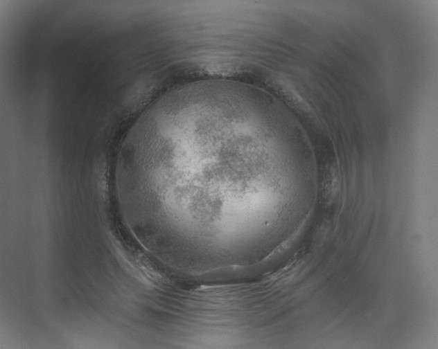 X0000075830639200609151239