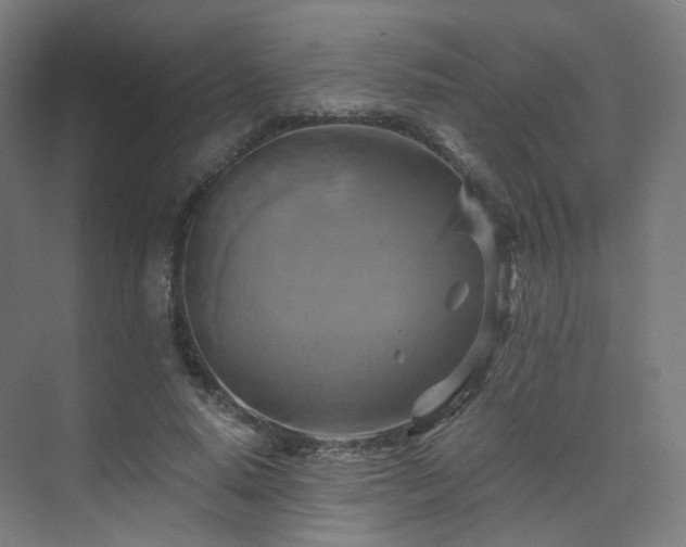 X0000075830640200609151239