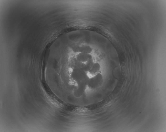 X0000075830642200609151239