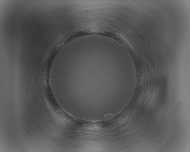 X0000075830643200609151239